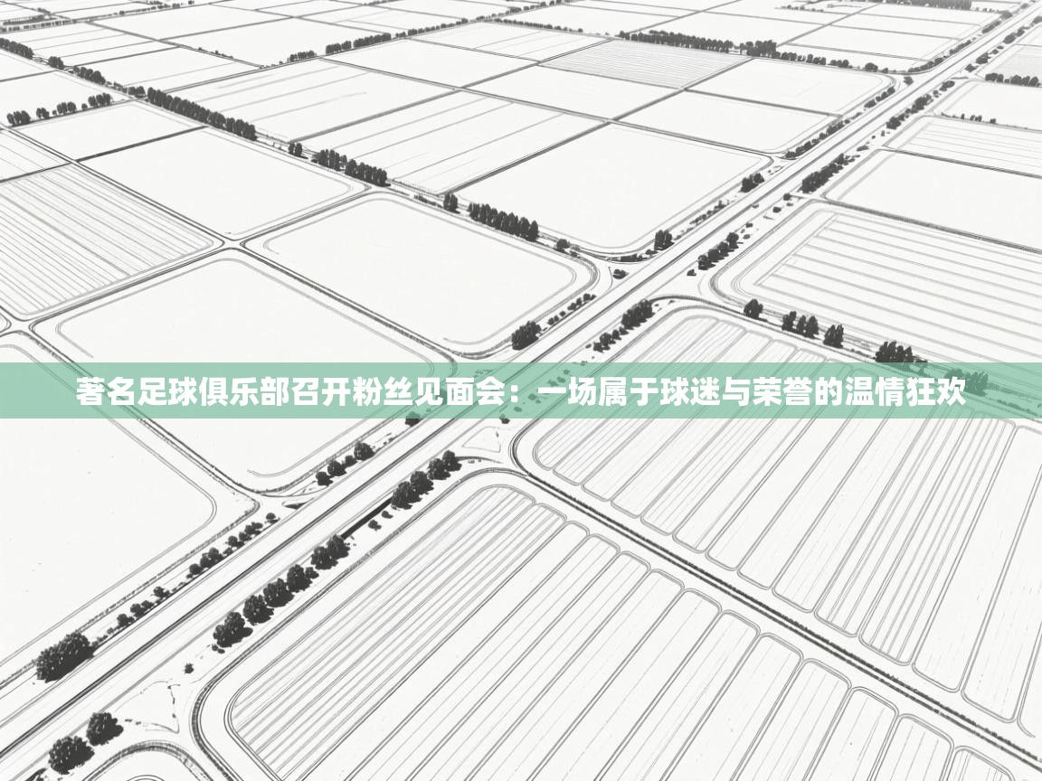 著名足球俱乐部召开粉丝见面会：一场属于球迷与荣誉的温情狂欢  第2张